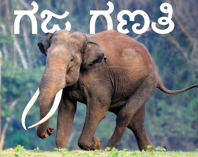ತಮಿಳುನಾಡಿನಲ್ಲಿ ಕಾಡಾನೆಗಳ ಸಂಖ್ಯೆ ಎರಡು ವರ್ಷದ ನಿರಂತರ ವೃದ್ಧಿ