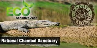 ರಾಷ್ಟ್ರೀಯ ಚಂಬಲ್ ಅಭಯಾರಣ್ಯವನ್ನು ಪರಿಸರ-ಸೂಕ್ಷ್ಮ ವಲಯವೆಂದು ಘೋಷಿಸಲಾಗಿದೆ