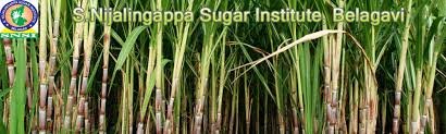 S.Nijalingappa Sugar Institute, Belagavi Invites Application for Technical Posts - Appy Now