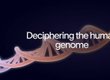 Google 'AlphaGenome Atlas': ಗೂಗಲ್‌ನಿಂದ ಮಾನವ DNA ನಕ್ಷೆಯ ಕ್ರಾಂತಿಕಾರಿ ತಂತ್ರಜ್ಞಾನ ಬಿಡುಗಡೆ