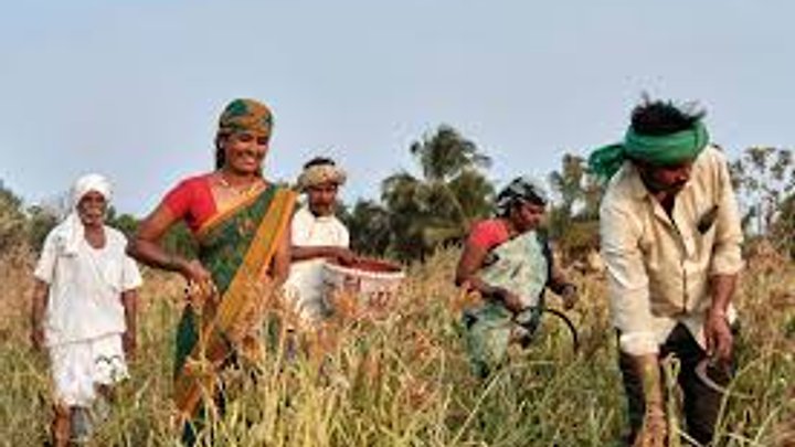 ಬೀಬಿ ಫಾತಿಮಾ ಸಂಘಕ್ಕೆ ಯುಎನ್‌ಡಿಪಿ “ಈಕ್ವೇಟರ್ ಇನಿಷಿಯೇಟಿವ್” ಗೌರವ