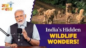 ಮನ್ ಕಿ ಬಾತ್‌ನಲ್ಲಿ ಬೈಲುಕುಪ್ಪೆಯ ಪರಿಸರ ಸಂರಕ್ಷಣೆಗೆ ಪ್ರಧಾನಿ ಮೋದಿ ಮೆಚ್ಚುಗೆ: ಕರ್ಮ ವಿಹಾರದ ಹಸಿರು ಕ್ರಾಂತಿ