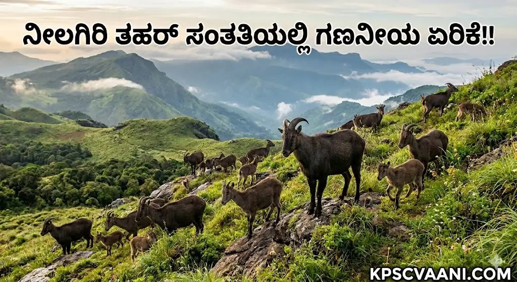 ನೀಲಗಿರಿ ತಹರ್ ಸಂತತಿಯಲ್ಲಿ ಗಣನೀಯ ಏರಿಕೆ!