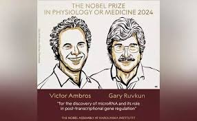 Nobel Prize 2024: ಮೈಕ್ರೊಆರ್‌ಎನ್‌ಎ ಆವಿಷ್ಕಾರಕ್ಕಾಗಿ ವಿಕ್ಟರ್ ಆಂಬ್ರೋಸ್ ಮತ್ತು ಗ್ಯಾರಿ ರುವ್ಕುನ್​​ಗೆ ವೈದ್ಯಕೀಯದಲ್ಲಿ ನೊಬೆಲ್ ಪ್ರಶಸ್ತಿ