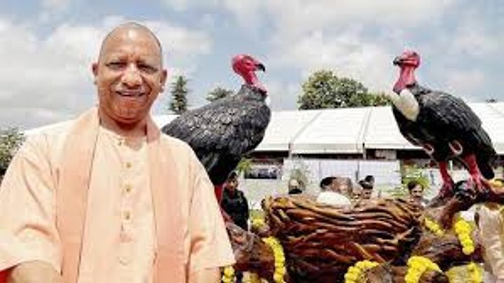 ಏಷ್ಯಾದ ಉತ್ತರ ಪ್ರದೇಶದಲ್ಲಿ ಮೊದಲ ಗಿಡುಗ ಸಂತಾನೋತ್ಪತ್ತಿ ಕೇಂದ್ರ ಸ್ಥಾಪನೆ