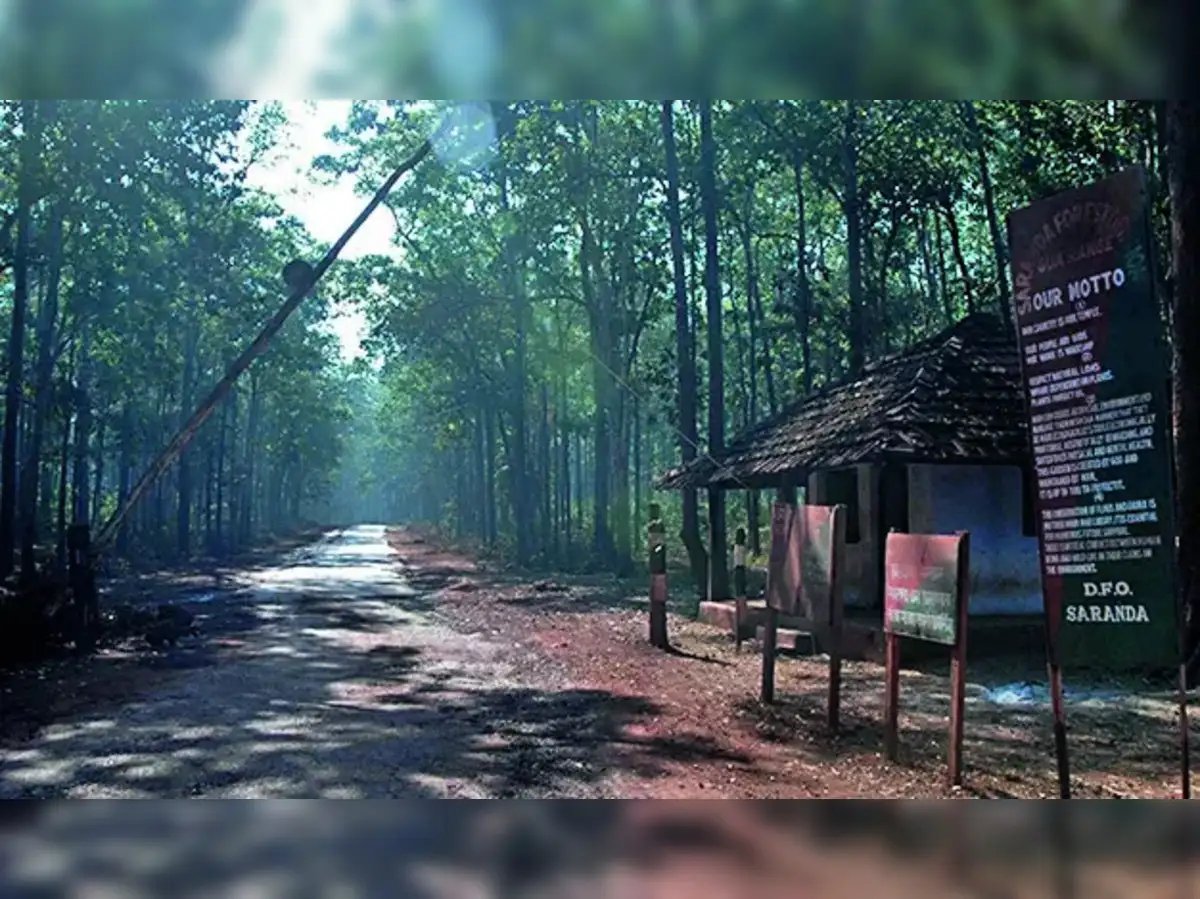 ಸರಂಡಾ ಅರಣ್ಯ: ಭಾರತದ ಹಸಿರು ಹೃದಯ ಮತ್ತು ಅಪರೂಪದ ವನ್ಯಜೀವಿಗಳ ಆಶ್ರಯ