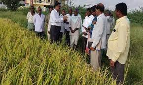 ಕೃಷಿ ಇಲಾಖೆಯಿಂದ ಶೀಘ್ರದಲ್ಲಿಯೇ 300 ಸಹಾಯಕ ಕೃಷಿ ಅಧಿಕಾರಿಗಳ ಹುದ್ದೆಗಳ ನೇಮಕಕ್ಕೆ ಅಧಿಸೂಚನೆ | ಈ ಕುರಿತ ಮಾಹಿತಿ ನಿಮಗಾಗಿ