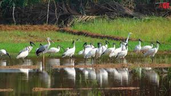 ಪಕ್ಷಿ ಅಟ್ಲಾಸ್ (Bird Atlas) ಪ್ರಕಟಿಸಿದ ಭಾರತದ 2ನೇ ರಾಜ್ಯ ಗೋವಾ!