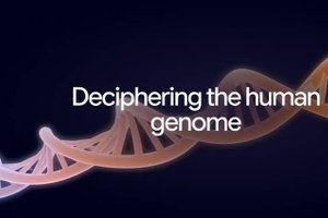 Google 'AlphaGenome Atlas': ಗೂಗಲ್‌ನಿಂದ ಮಾನವ DNA ನಕ್ಷೆಯ ಕ್ರಾಂತಿಕಾರಿ ತಂತ್ರಜ್ಞಾನ ಬಿಡುಗಡೆ