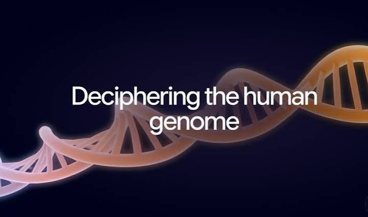 Google 'AlphaGenome Atlas': ಗೂಗಲ್‌ನಿಂದ ಮಾನವ DNA ನಕ್ಷೆಯ ಕ್ರಾಂತಿಕಾರಿ ತಂತ್ರಜ್ಞಾನ ಬಿಡುಗಡೆ
