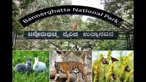 “Adopt an Animal” ಯೋಜನೆ: ಬನ್ನೇರುಘಟ್ಟದಲ್ಲಿ ಹುಲಿ ಮರಿಗಳ ಸಂರಕ್ಷಣೆಗೆ ಖಾಸಗಿ ವಲಯದ ಸಹಭಾಗಿತ್ವ