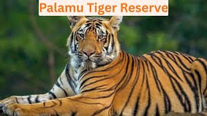 ವನಜೀವಿ ದೀದಿ ಉಪಕ್ರಮ: ಪಲಾಮು ಹುಲಿ ಸಂರಕ್ಷಿತ ಪ್ರದೇಶದ ಹೊಸ ಹೆಜ್ಜೆ
