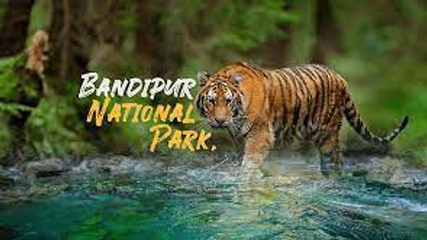 ಬಂಡೀಪುರ ಹುಲಿ ಸಂರಕ್ಷಿತ ಪ್ರದೇಶಕ್ಕೆ ಅತ್ಯುತ್ತಮ ವನ್ಯಧಾಮ ಪ್ರಶಸ್ತಿ