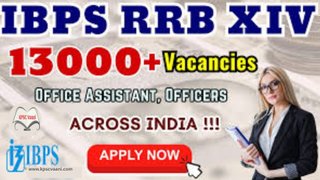 IBPS ನಿಂದ ದೇಶದಾದ್ಯಂತ 13,217 ಹುದ್ದೆಗಳ ಭರ್ಜರಿ ನೇಮಕಾತಿ – ಅರ್ಜಿ ಹಾಕಿ ಭವಿಷ್ಯ ನಿರ್ಮಿಸಿಕೊಳ್ಳಿ!