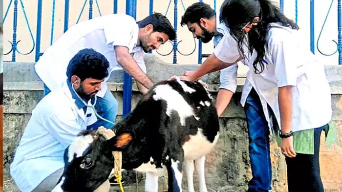 ಪಶುಪಾಲನೆ ಮತ್ತು ಪಶುವೈದ್ಯಕೀಯ ಸೇವಾ ಇಲಾಖೆಯಲ್ಲಿ ಖಾಲಿ ಇರುವ 400 ಹುದ್ದೆಗಳ ನೇರ ನೇಮಕಾತಿ | ಕೂಡಲೇ ಅರ್ಜಿ ಸಲ್ಲಿಸಿ