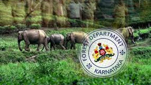 ಅರಣ್ಯ ಇಲಾಖೆಯಲ್ಲಿ ವಲಯ ಅರಣ್ಯಾಧಿಕಾರಿ (RFO) ಹುದ್ದೆಗಳ ನೇಮಕಾತಿಗೆ ಇದೀಗ ನೇಮಕಾತಿ ಅಧಿಸೂಚನೆ ಹೊರಡಿಸಿ ಅರ್ಜಿ ಆಹ್ವಾನಿಸಲಾಗಿದೆ