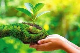 ನೇಚರ್ ಇಂಡೆಕ್ಸ್ 2022 ರ ಮುಖ್ಯಾಂಶಗಳು