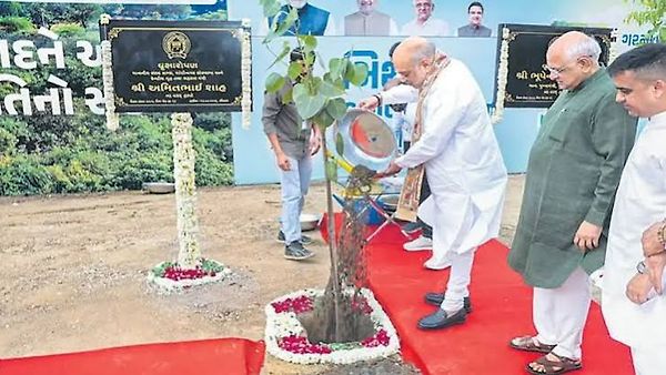 ಅಹಮದಾಬಾದ್‌ನಲ್ಲಿ ಗಿನ್ನೆಸ್ ವಿಶ್ವ ದಾಖಲೆ: ಒಂದೇ ಗಂಟೆಯಲ್ಲಿ 3.61 ಲಕ್ಷ ಸಸಿಗಳ ನಾಟಿ!