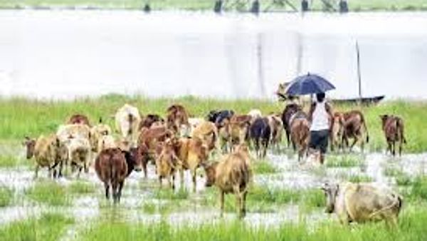 21ನೇ ರಾಷ್ಟ್ರೀಯ ಜಾನುವಾರು ಗಣತಿ : ಕೇಂದ್ರದಿಂದ 200 ಕೋಟಿ ವೆಚ್ಚ