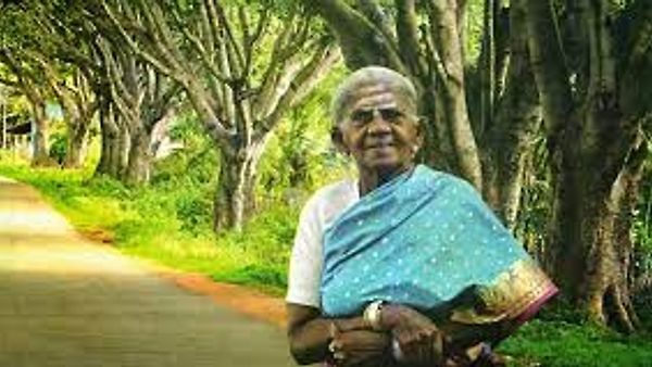 'ಜೀವ ಸಮೃದ್ಧಿ' ಪ್ರಶಸ್ತಿ ಪಡೆದ ಸಾಲುಮರದ ತಿಮ್ಮಕ್ಕ