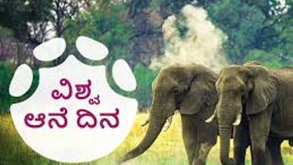 ಆಗಸ್ಟ್ 12 ವಿಶ್ವ ಆನೆ ದಿನ