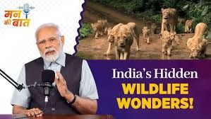 ಮನ್ ಕಿ ಬಾತ್‌ನಲ್ಲಿ ಬೈಲುಕುಪ್ಪೆಯ ಪರಿಸರ ಸಂರಕ್ಷಣೆಗೆ ಪ್ರಧಾನಿ ಮೋದಿ ಮೆಚ್ಚುಗೆ: ಕರ್ಮ ವಿಹಾರದ ಹಸಿರು ಕ್ರಾಂತಿ