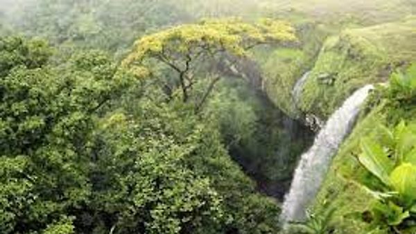 ಪಶ್ಚಿಮ ಘಟ್ಟ 56,825 ಚ.ಕಿ.ಮೀ. ಪರಿಸರ ಸೂಕ್ಷ್ಮ ಪದೇಶ