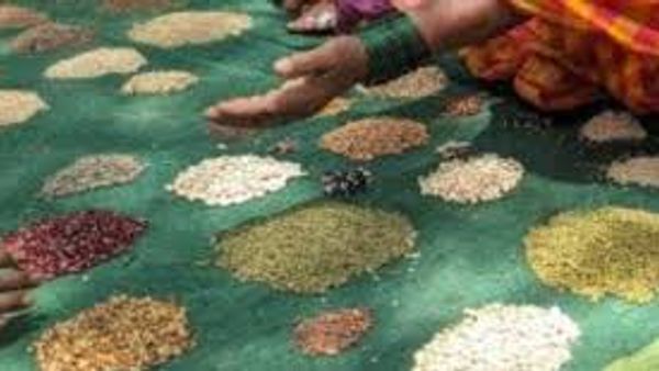 Draft Seeds Bill 2025: ಕಳಪೆ ಬೀಜಗಳ ವಿರುದ್ಧ ಹೋರಾಟ ಮತ್ತು ರೈತರ ರಕ್ಷಣಾ ಕ್ರಮ