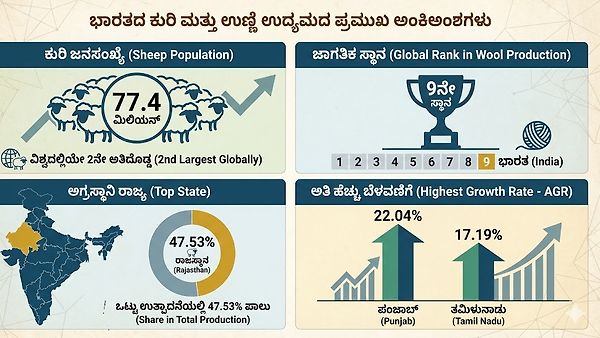 ಉಣ್ಣೆ ಉತ್ಪಾದನೆ: ರಾಜಸ್ಥಾನಕ್ಕೆ ಅಗ್ರಸ್ಥಾನ, ಜಗತ್ತಿನಲ್ಲಿ ಭಾರತಕ್ಕೆ 9ನೇ ಸ್ಥಾನ