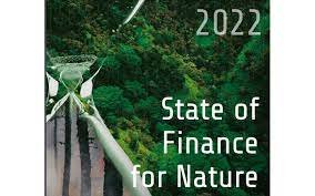 2022 ರ "ಸ್ಟೇಟ್ ಆಫ್ ಫೈನಾನ್ಸ್ ಫಾರ್ ನೇಚರ್" ವರದಿ