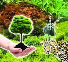 🌍 ವಿಶ್ವದ ಅತಿದೊಡ್ಡ ವನ್ಯಜೀವಿ ಸಮೀಕ್ಷೆ: ಜೈವ ವೈವಿಧ್ಯ ಸಂರಕ್ಷಣೆಯ ಮಹತ್ತರ ಹೆಜ್ಜೆ