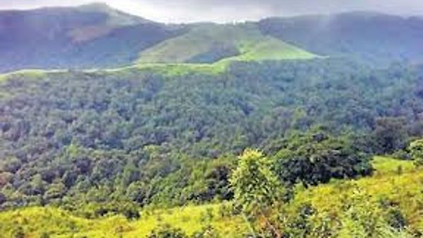 ಕಸ್ತೂರಿರಂಗನ್ ವರದಿ ಜಾರಿಗೆ ರಾಷ್ಟ್ರೀಯ ಹಸಿರು ನ್ಯಾಯಾಧೀಕರಣ ಆದೇಶ