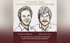 Nobel Prize 2024: ಮೈಕ್ರೊಆರ್‌ಎನ್‌ಎ ಆವಿಷ್ಕಾರಕ್ಕಾಗಿ ವಿಕ್ಟರ್ ಆಂಬ್ರೋಸ್ ಮತ್ತು ಗ್ಯಾರಿ ರುವ್ಕುನ್​​ಗೆ ವೈದ್ಯಕೀಯದಲ್ಲಿ ನೊಬೆಲ್ ಪ್ರಶಸ್ತಿ