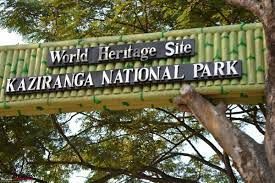 ಕಾಜಿರಂಗ ರಾಷ್ಟ್ರೀಯ ಉದ್ಯಾನದಲ್ಲಿ ಗಣತಿ ಕಾರ್ಯ