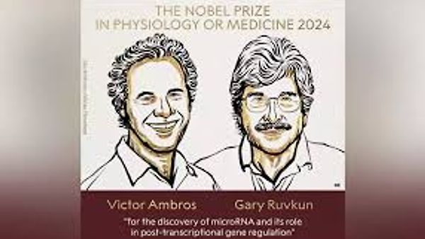 Nobel Prize 2024: ಮೈಕ್ರೊಆರ್‌ಎನ್‌ಎ ಆವಿಷ್ಕಾರಕ್ಕಾಗಿ ವಿಕ್ಟರ್ ಆಂಬ್ರೋಸ್ ಮತ್ತು ಗ್ಯಾರಿ ರುವ್ಕುನ್​​ಗೆ ವೈದ್ಯಕೀಯದಲ್ಲಿ ನೊಬೆಲ್ ಪ್ರಶಸ್ತಿ