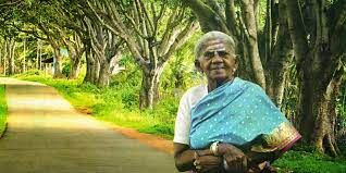 'ಜೀವ ಸಮೃದ್ಧಿ' ಪ್ರಶಸ್ತಿ ಪಡೆದ ಸಾಲುಮರದ ತಿಮ್ಮಕ್ಕ