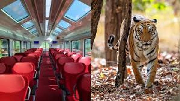 ಭಾರತದ ಮೊದಲ ವಿಸ್ಟಾಡೋಮ್ ಜಂಗಲ್ ಸಫಾರಿ ರೈಲು ಉತ್ತರ ಪ್ರದೇಶದಲ್ಲಿ ಆರಂಭ