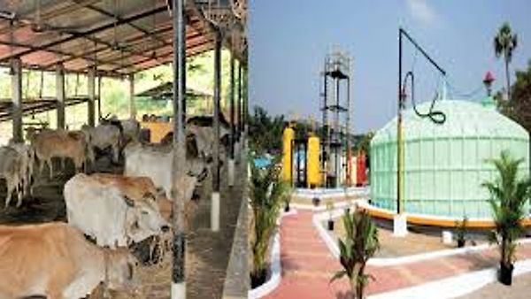 ಗ್ವಾಲಿಯರ್ ಅತ್ಯಾಧುನಿಕ CBG ಪ್ಲಾಂಟ್‌ನೊಂದಿಗೆ ಭಾರತದ ಮೊದಲ ಸ್ವಾವಲಂಬಿ ಗೌಶಾಲಾ ಅನಾವರಣ