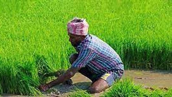ಕೇಂದ್ರ ಸರ್ಕಾರದಿಂದ ಬೆಳೆ ವಿಮಾ ಪೋರ್ಟಲ್ ವ್ಯಾಪ್ತಿಯನ್ನು ವಿಸ್ತರಿಸಲು ₹ 30,000 ಕೋಟಿ ಹೂಡಿಕೆ
