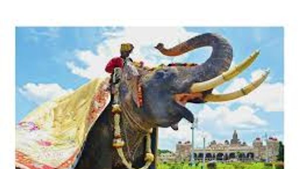 ಅಭಿಮನ್ಯುವಿಗೆ ಮತ್ತೊಮ್ಮೆ ಅಂಬಾರಿ ಹೊರುವ ಹೊಣೆ