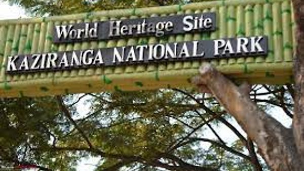 ಕಾಜಿರಂಗ ರಾಷ್ಟ್ರೀಯ ಉದ್ಯಾನದಲ್ಲಿ ಗಣತಿ ಕಾರ್ಯ