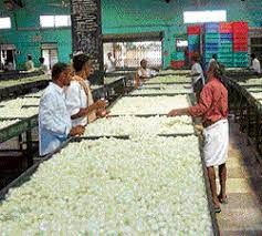 ರಾಮನಗರದಲ್ಲಿ ಹೈಟೆಕ್ ರೇಷ್ಮೆ ಮಾರುಕಟ್ಟೆ ನಿರ್ಮಾಣಕ್ಕೆ ಆದೇಶ ಹೊರಡಿಸಿದ ರಾಜ್ಯ ಸರ್ಕಾರ