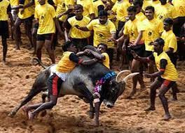 'ಜಲ್ಲಿಕಟ್ಟು' ಆಚರಣೆಗೆ ಗ್ರೀನ್‌ ಸಿಗ್ನಿಲ್‌ ನೀಡಿದ ತಮಿಳುನಾಡು ಸರ್ಕಾರ
