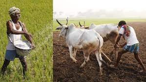 ಭಾರತದ ರೈತ ಭರೋಸಾ ಕೇಂದ್ರಗಳು