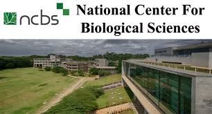ರಾಷ್ಟ್ರೀಯ ಜೀವಶಾಸ್ತ್ರ ವಿಜ್ಞಾನ ಕೇಂದ್ರ (NCBS) ನೇಮಕಾತಿ 2025: ಕ್ಲರ್ಕ್ ಹುದ್ದೆಗೆ ಅರ್ಜಿ ಆಹ್ವಾನ