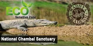 ರಾಷ್ಟ್ರೀಯ ಚಂಬಲ್ ಅಭಯಾರಣ್ಯವನ್ನು ಪರಿಸರ-ಸೂಕ್ಷ್ಮ ವಲಯವೆಂದು ಘೋಷಿಸಲಾಗಿದೆ