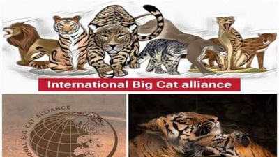 ಇಂಟರ್‌ನ್ಯಾಷನಲ್ ಬಿಗ್ ಕ್ಯಾಟ್ ಅಲಯನ್ಸ್ (IBCA) ಒಕ್ಕೂಟಕ್ಕೆ ಬಾಂಗ್ಲಾದೇಶ ಅಧಿಕೃತ ಸೇರ್ಪಡೆ!