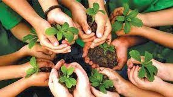 ಜುಲೈ 1 ರಿಂದ 7 ರವರೆಗೆ ವನಮಹೋತ್ಸವ