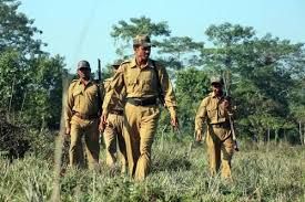 ಶೀಘ್ರದಲ್ಲೇ ಕರ್ನಾಟಕ ಅರಣ್ಯ ಇಲಾಖೆಯಿಂದ 339 ಅರಣ್ಯ ರಕ್ಷಕ ಹುದ್ದೆಗಳ ದೈಹಿಕ ಪರೀಕ್ಷೆ ದಿನಾಂಕ ಘೋಷಣೆ