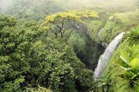 ಪಶ್ಚಿಮ ಘಟ್ಟ 56,825 ಚ.ಕಿ.ಮೀ. ಪರಿಸರ ಸೂಕ್ಷ್ಮ ಪದೇಶ